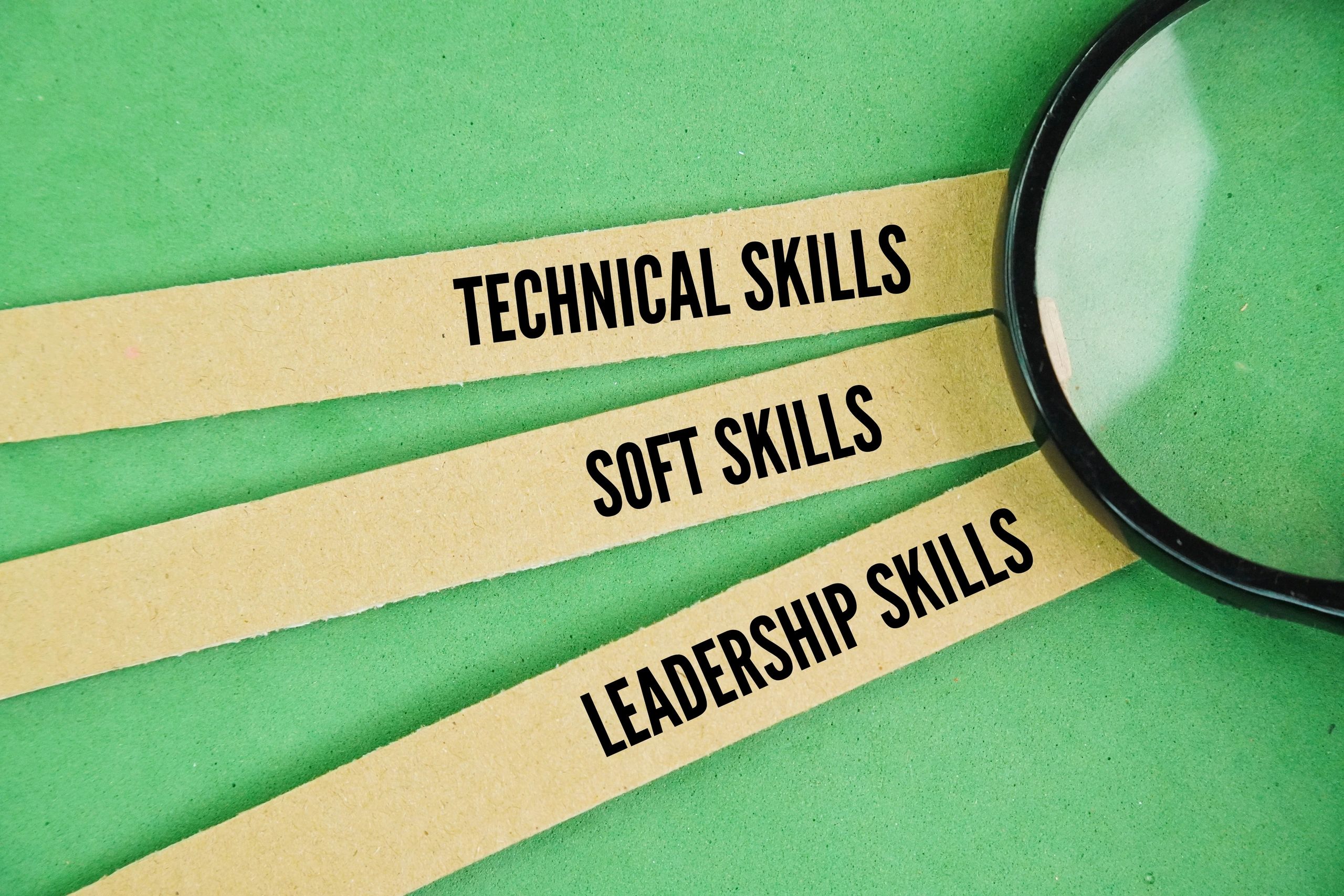 digital skill development